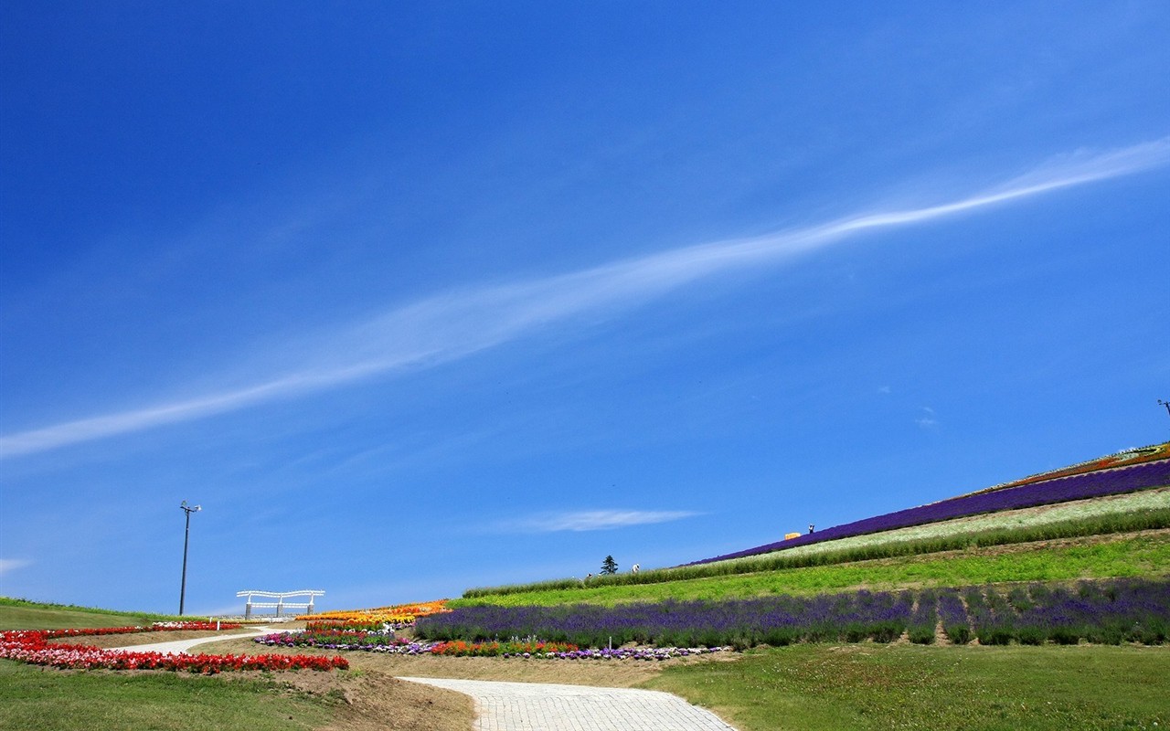 paysage de campagne Hokkaido #16 - 1280x800