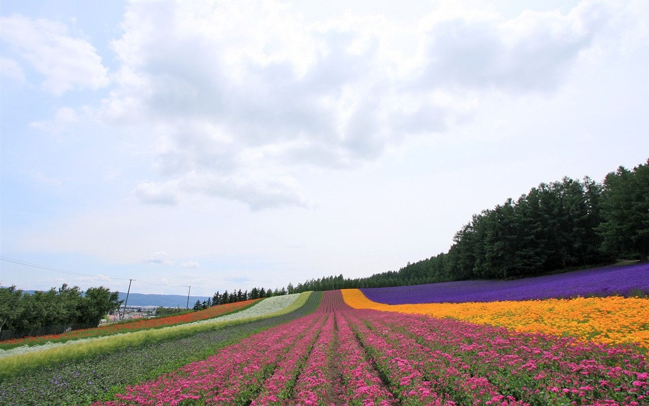 Hokkaido ländlicher Umgebung #19 - 1280x800