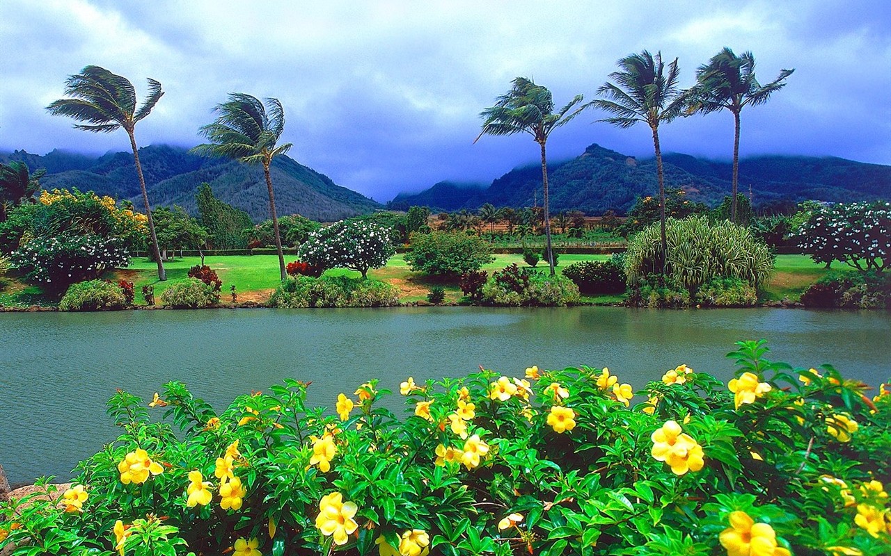 havajské pláži scenérie #1 - 1280x800