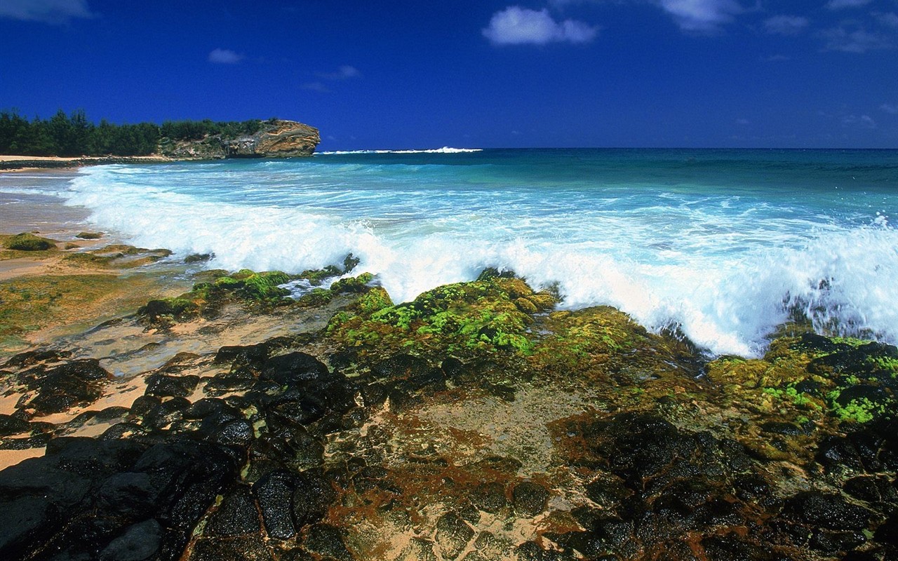 havajské pláži scenérie #19 - 1280x800
