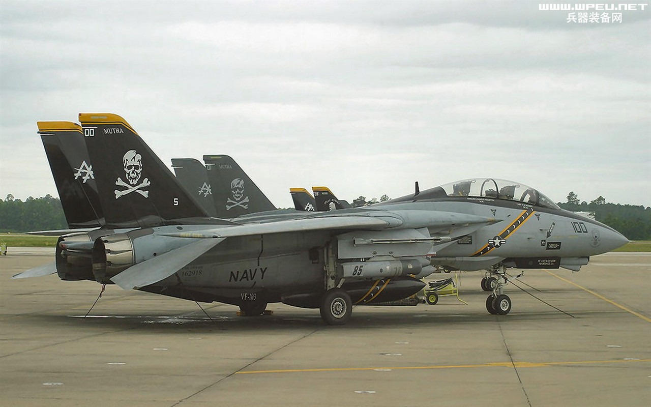 U.S. Navy F14 Tomcat fighter #15 - 1280x800