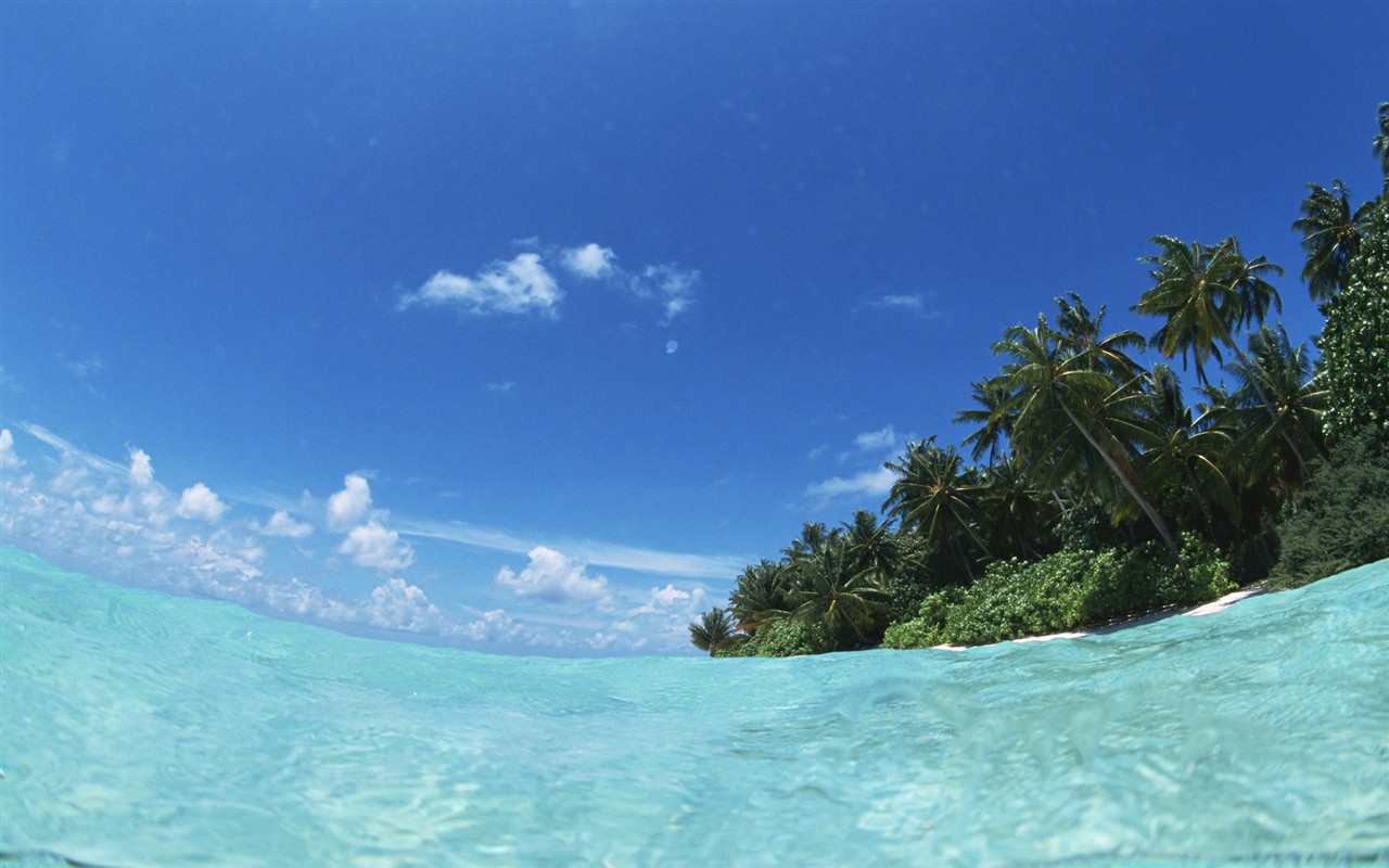몰디브 물과 푸른 하늘 #7 - 1280x800
