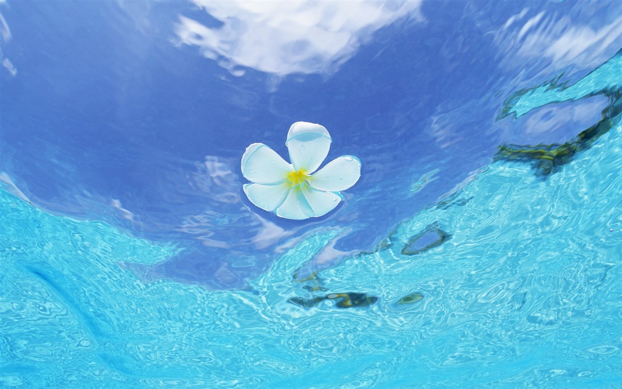 Maledivy vody a modrou oblohu #12 - 1280x800