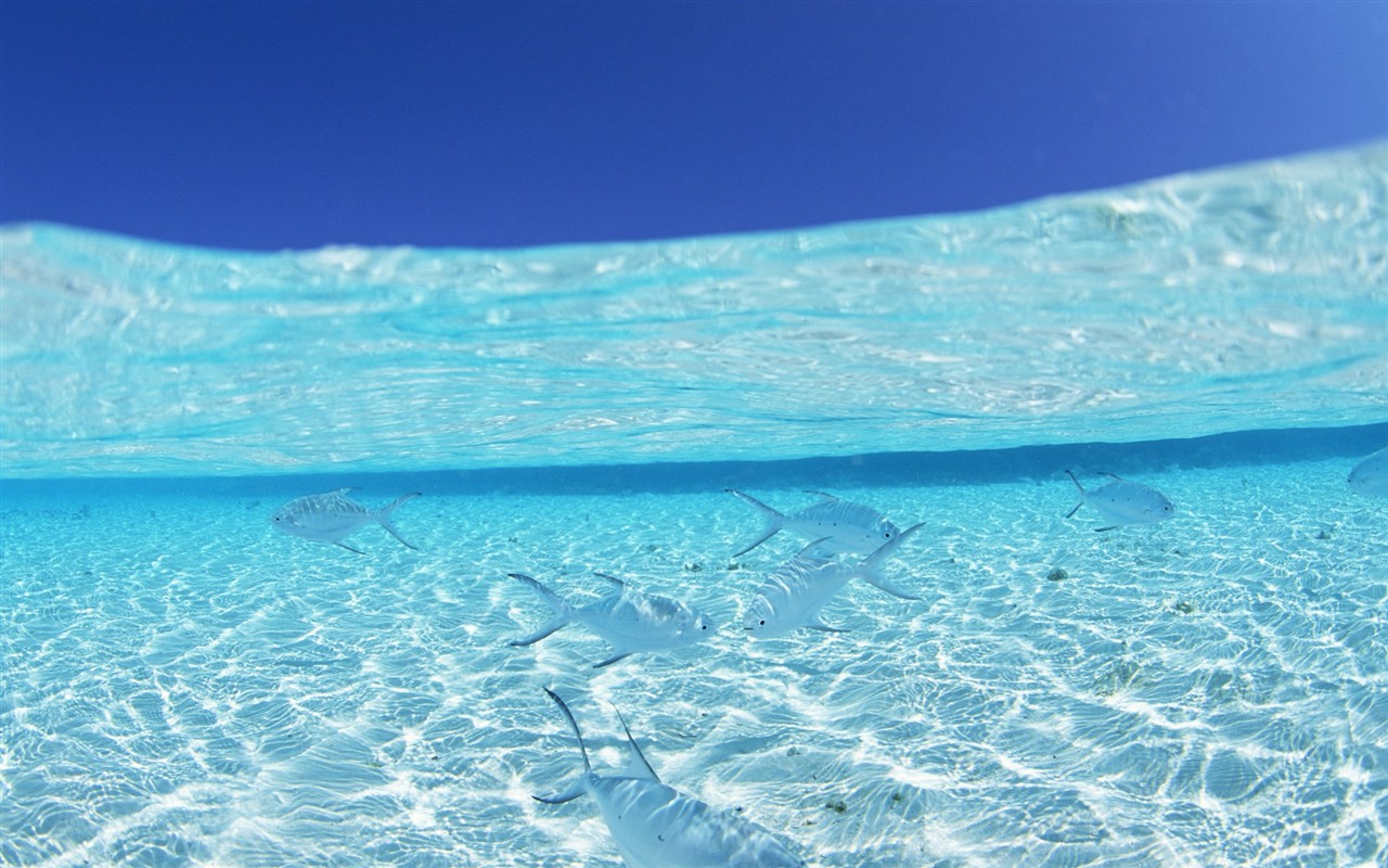ciel bleu de l'eau aux Maldives et #23 - 1280x800