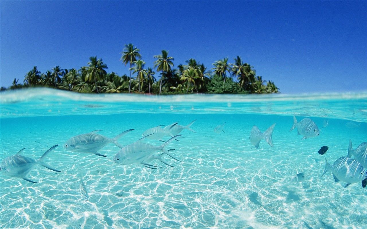 Maledivy vody a modrou oblohu #24 - 1280x800