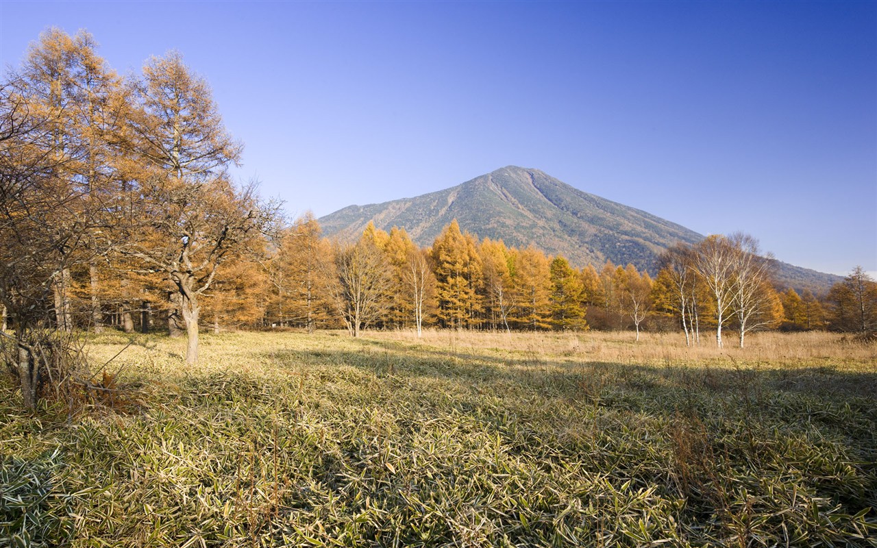 природные пейзажи Японии обои #1 - 1280x800