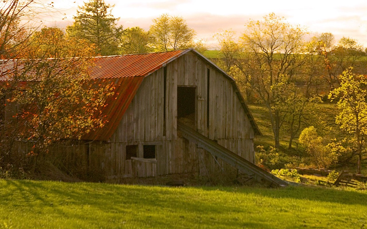 Thick autumn scenery wallpaper #1 - 1280x800