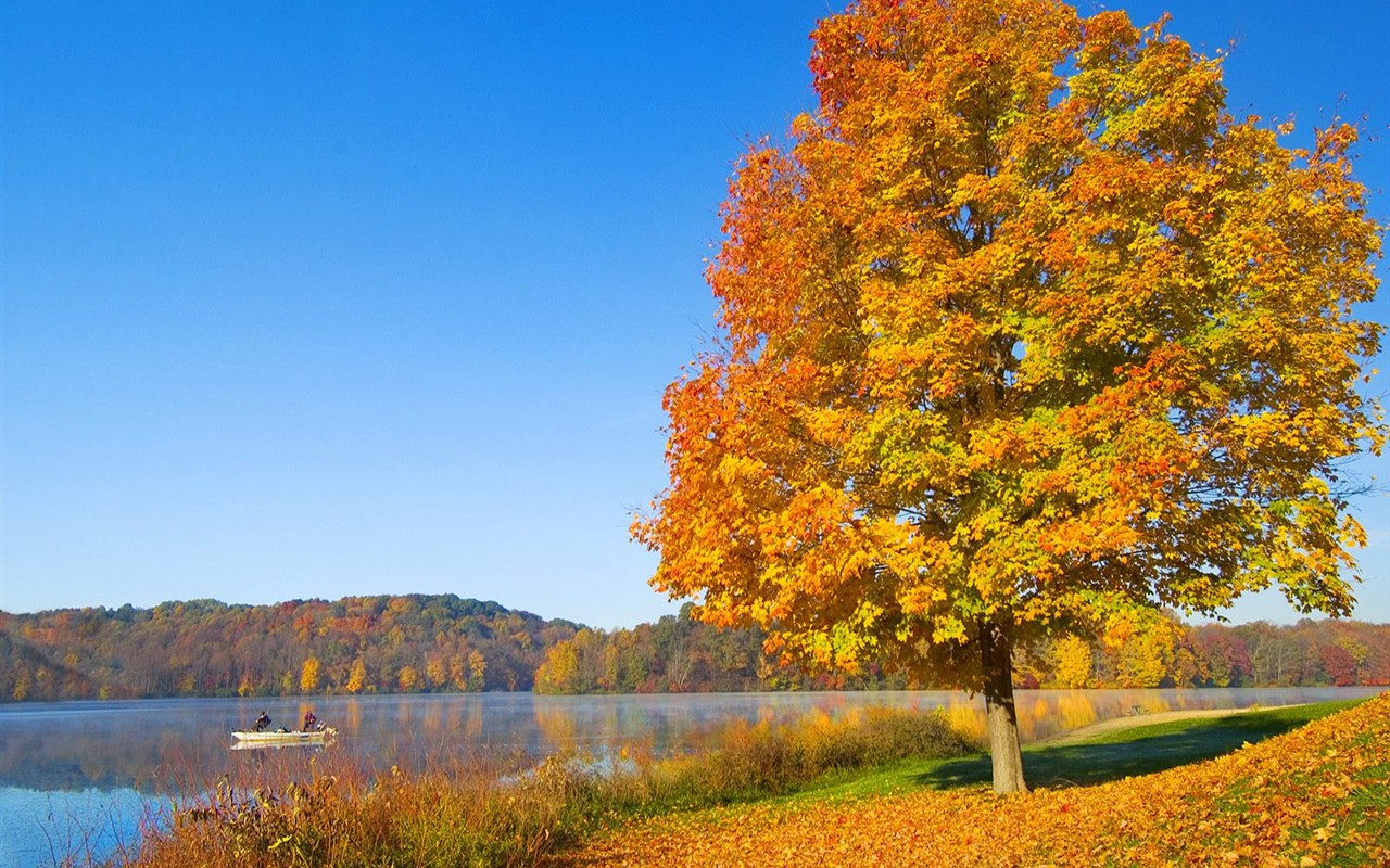 Fond d'écran épais décor de l'automne #3 - 1280x800