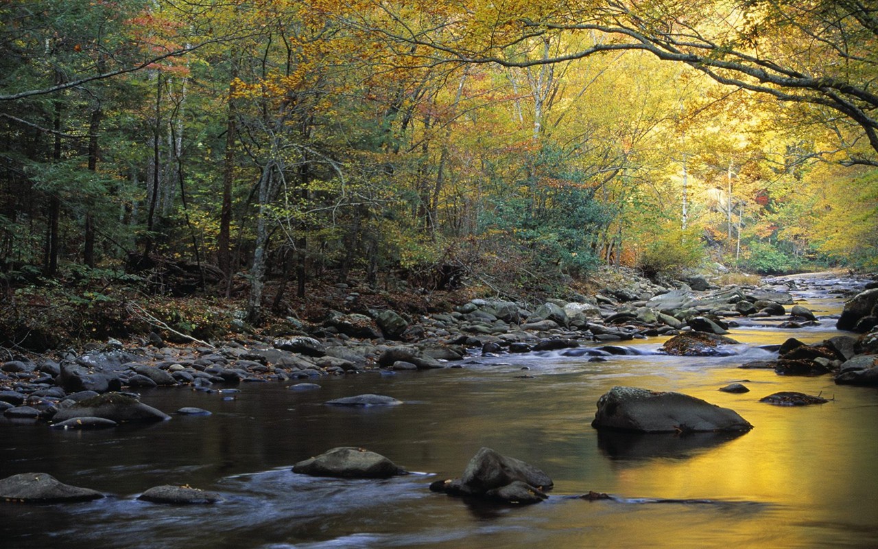 Thick autumn scenery wallpaper #9 - 1280x800