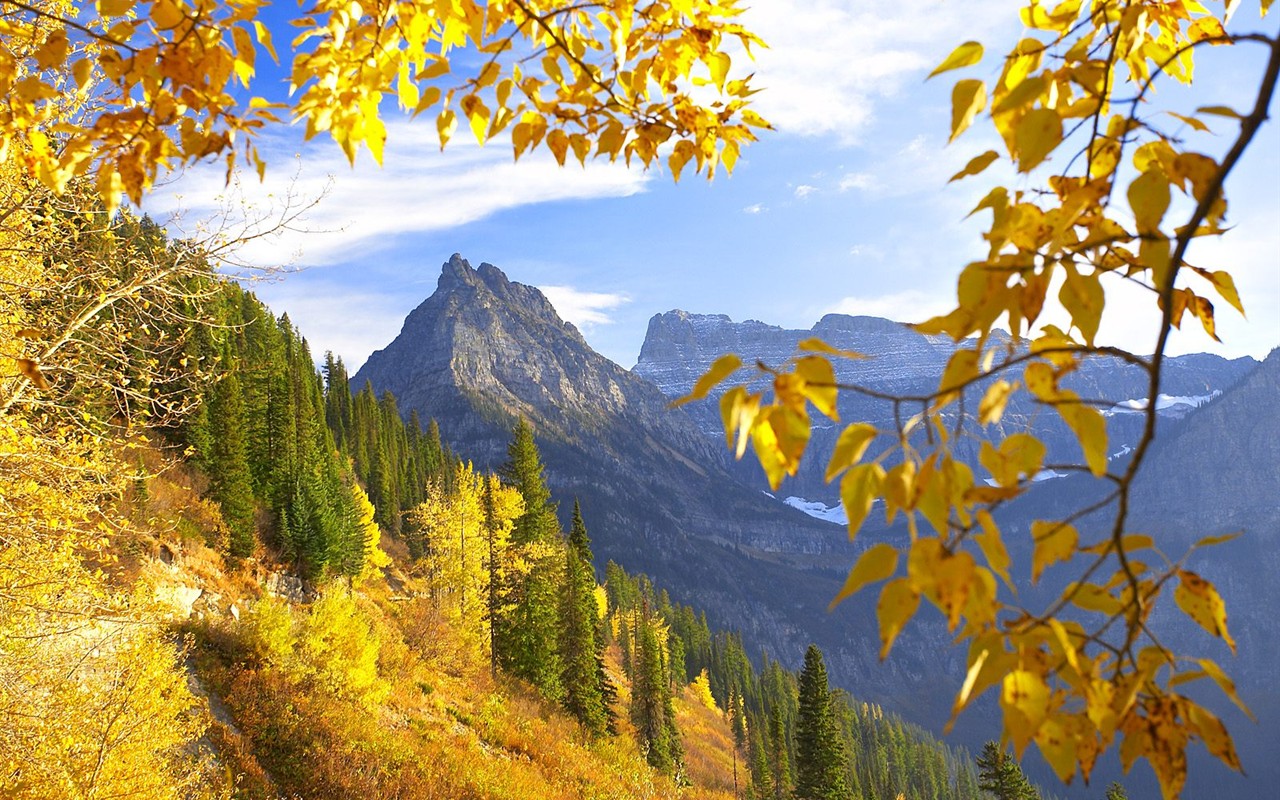 Thick autumn scenery wallpaper #11 - 1280x800