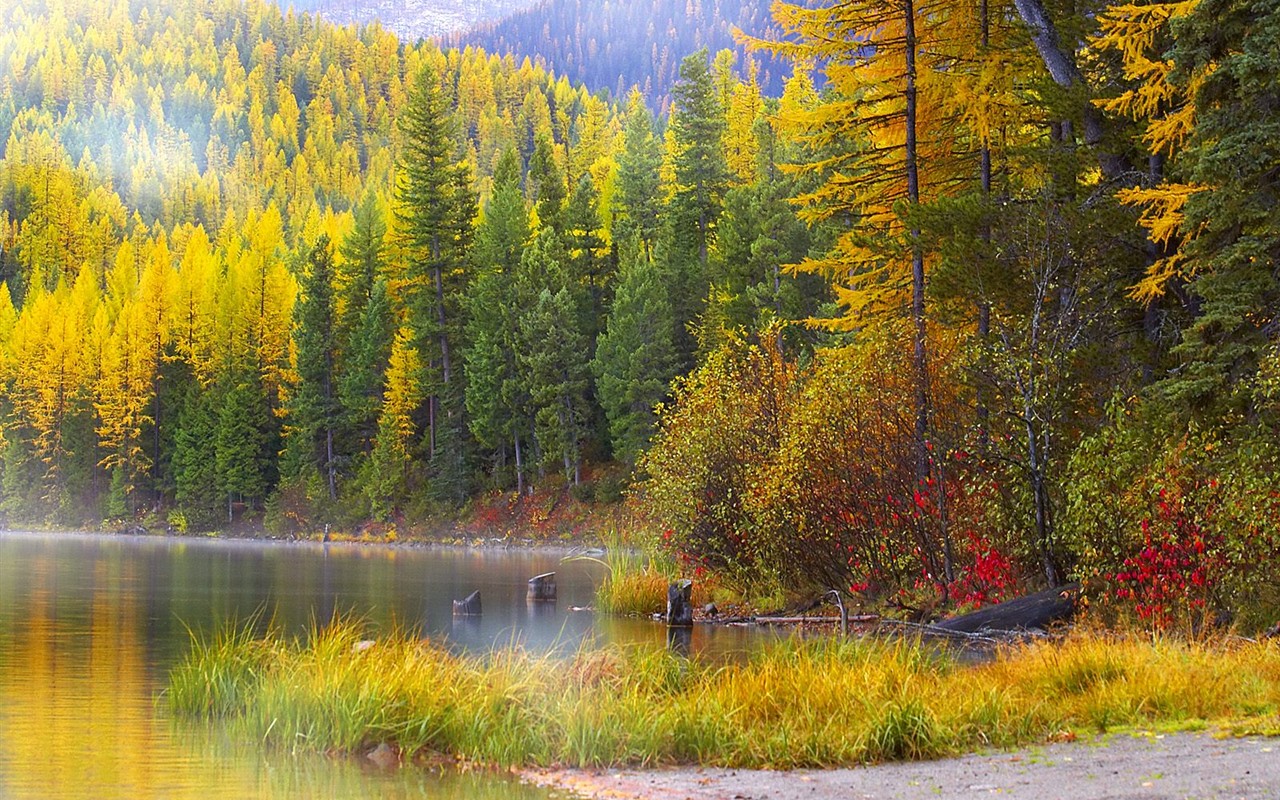 Thick autumn scenery wallpaper #12 - 1280x800