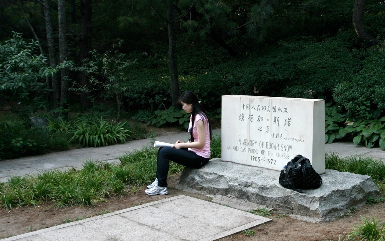 Glimpse of Peking University (Minghu Metasequoia works) #18 - 1280x800
