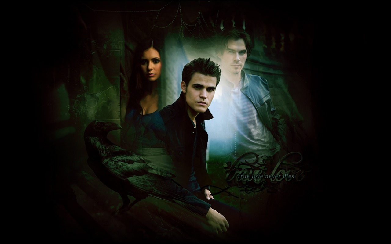 The Vampire Diaries wallpaper #24 - 1280x800