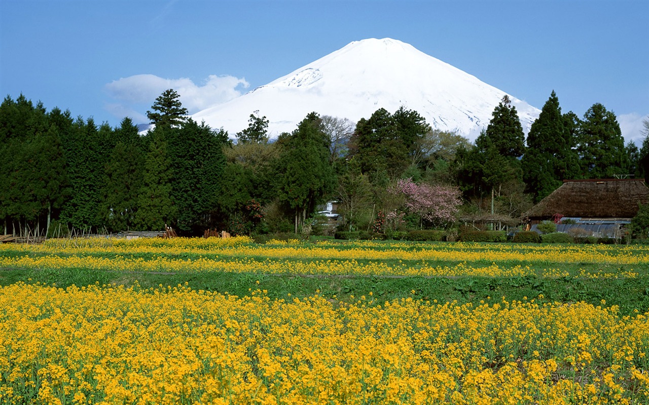 Fuji écran paysages Album #36 - 1280x800