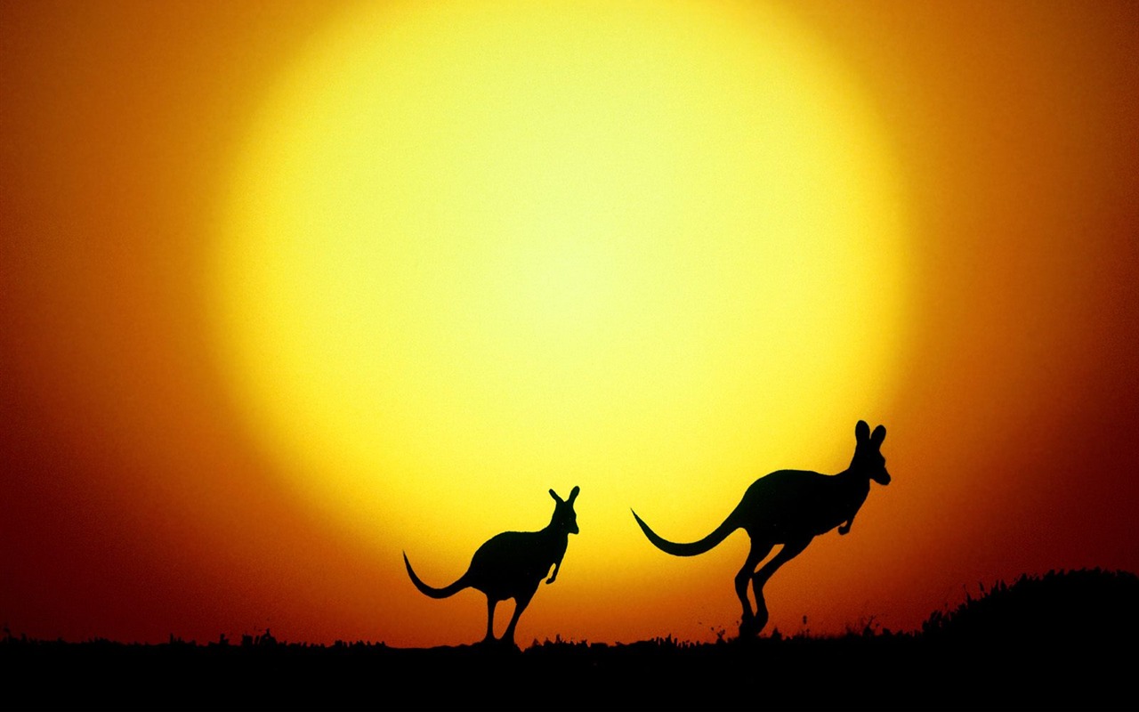 Vlastnosti nádherné scenérii Austrálie #18 - 1280x800