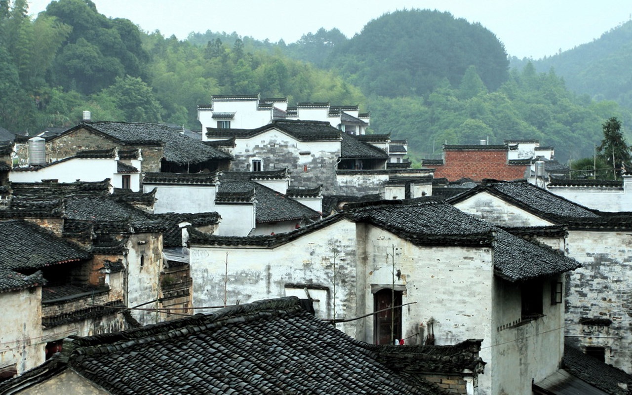 Wuyuan in the rain line (Minghu Metasequoia works) #1 - 1280x800