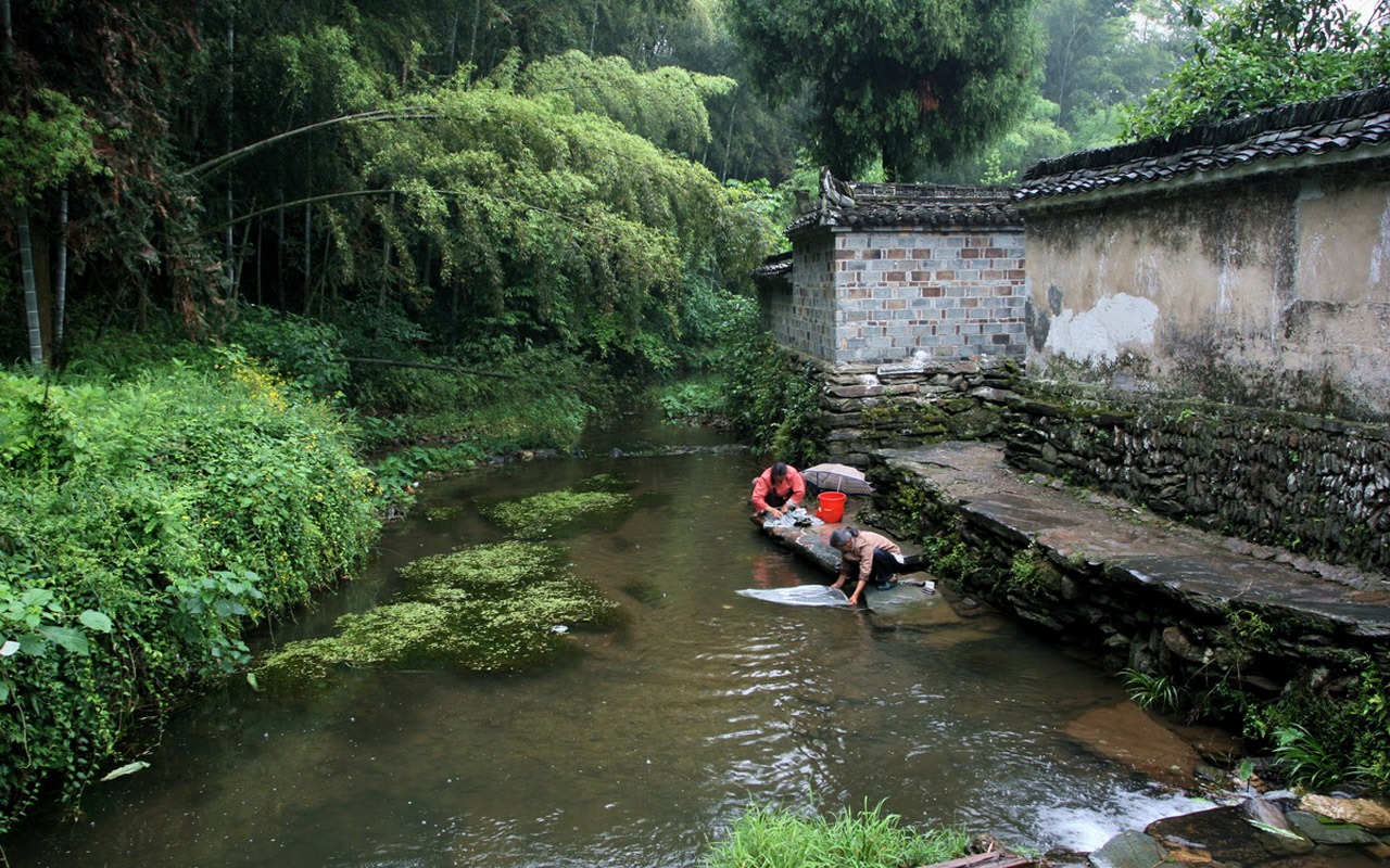 Wuyuan en la línea de la lluvia (Minghu obras Metasequoia) #6 - 1280x800