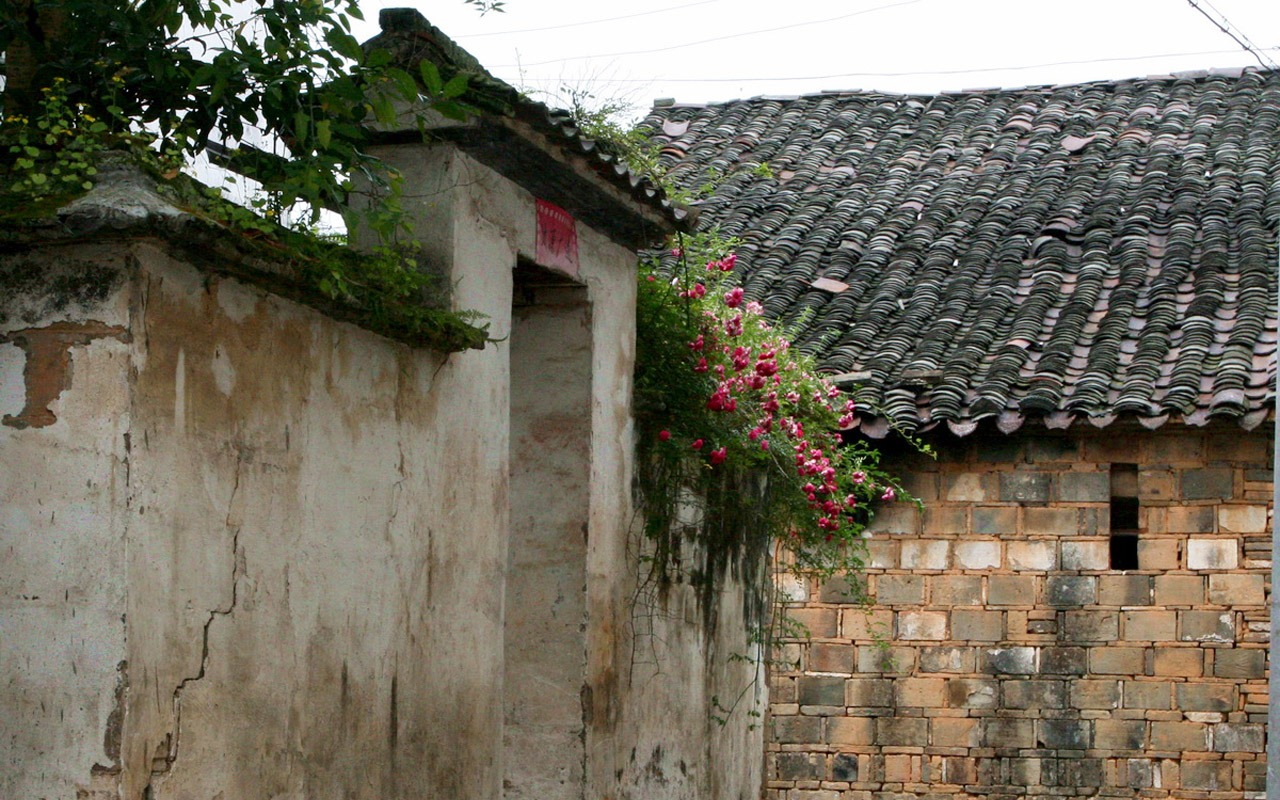 Wuyuan 비 라인 (Minghu Metasequoia 작품)에 #16 - 1280x800