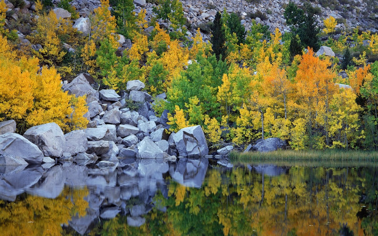 Herbstlandschaft schöne Tapete #13 - 1280x800