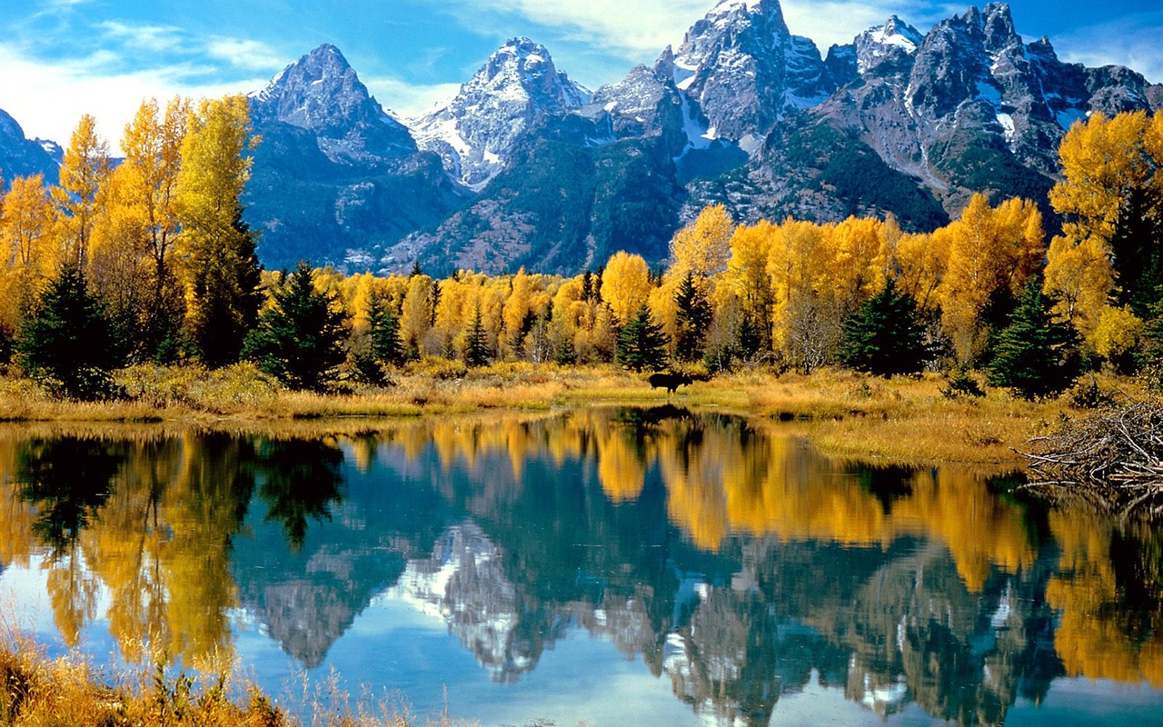 Podzimní krajina krásná tapeta #19 - 1280x800
