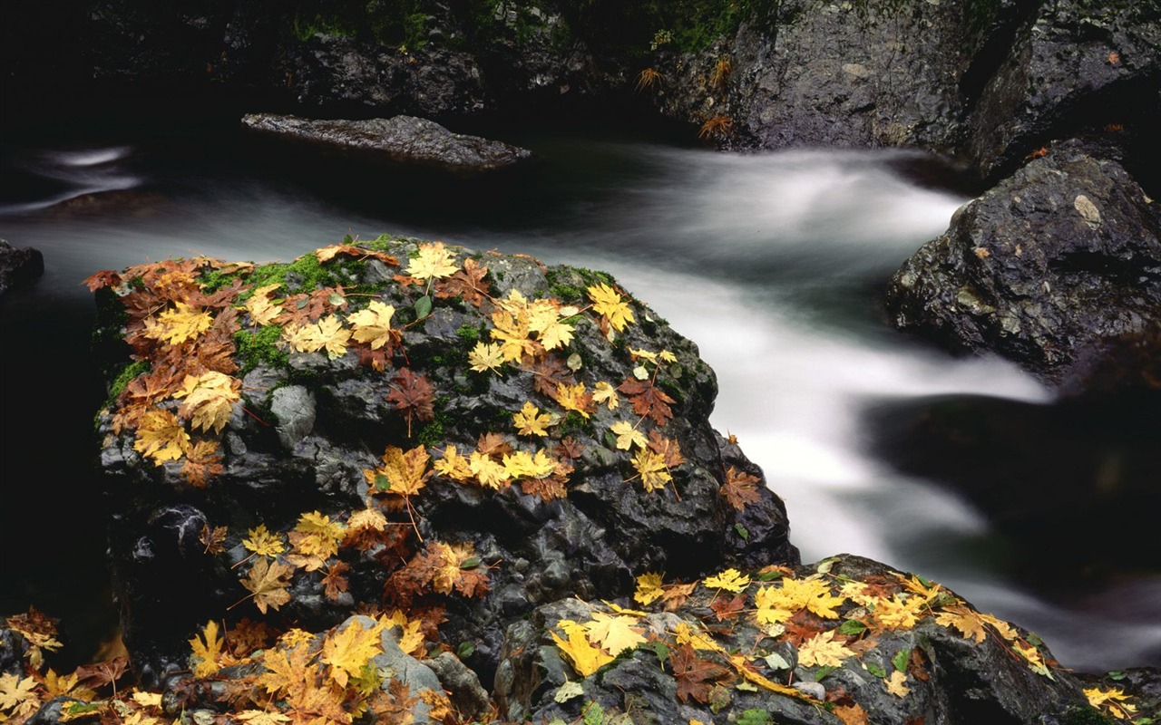 Podzimní krajina krásná tapeta #20 - 1280x800
