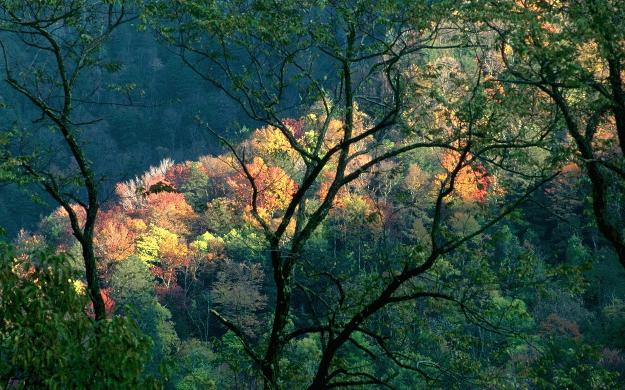 Podzimní krajina krásná tapeta #22 - 1280x800