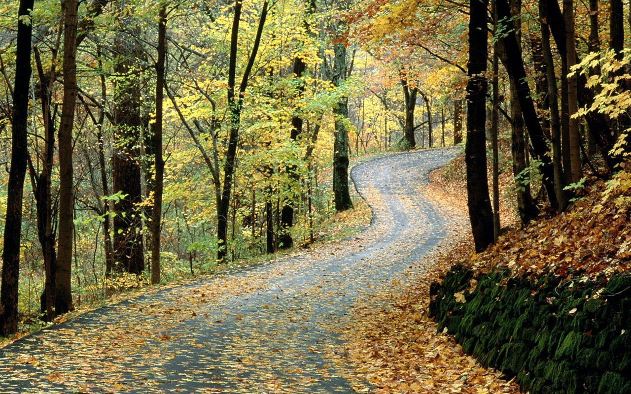 Podzimní krajina krásná tapeta #23 - 1280x800