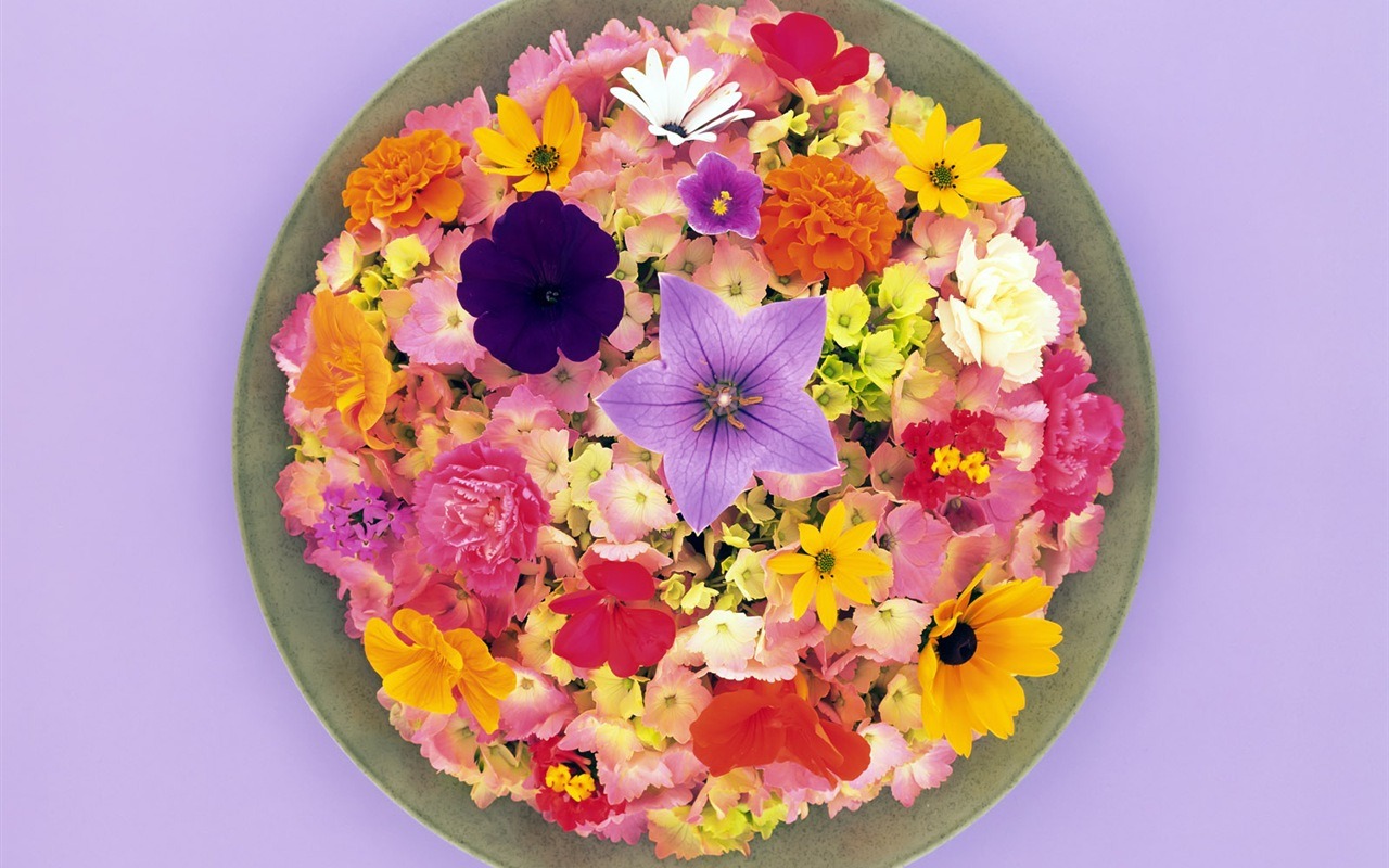 Květinová slavnost Wallpaper #6 - 1280x800