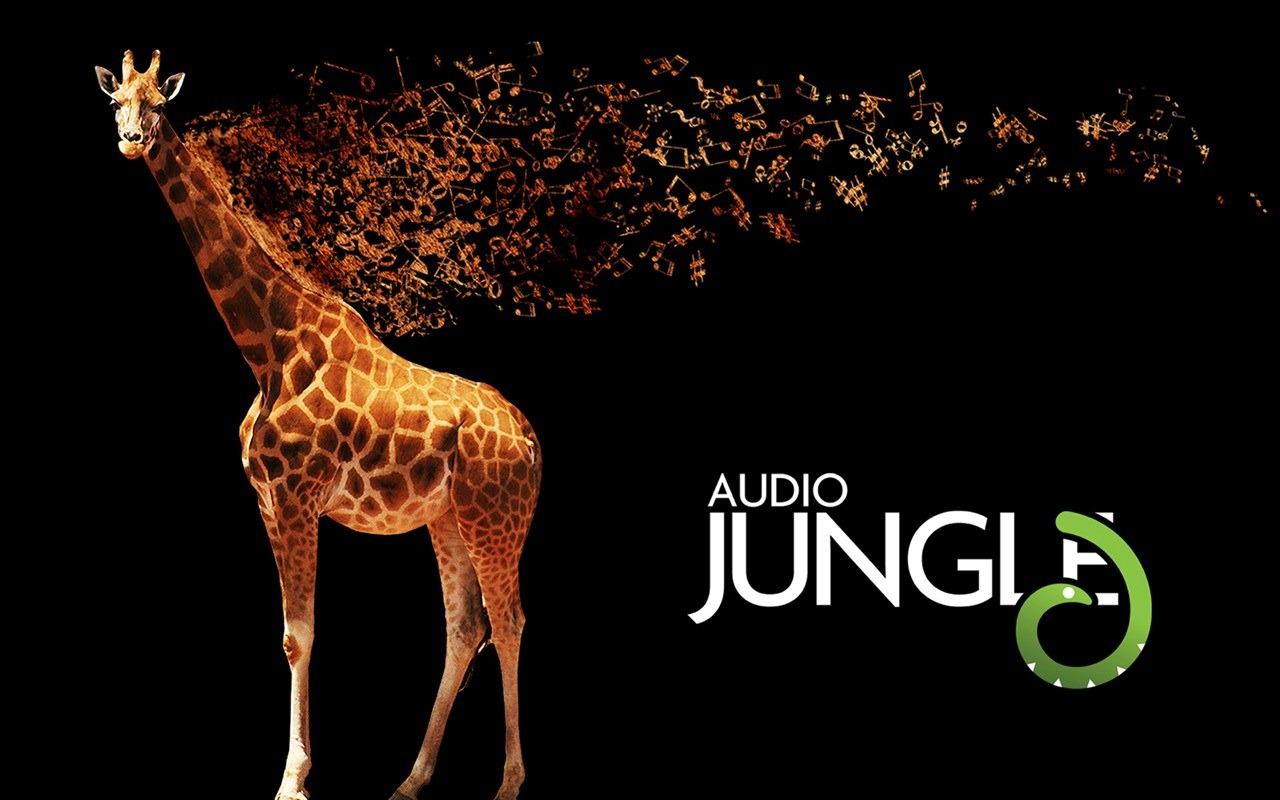 Аудио джунглей Обои Дизайн #11 - 1280x800
