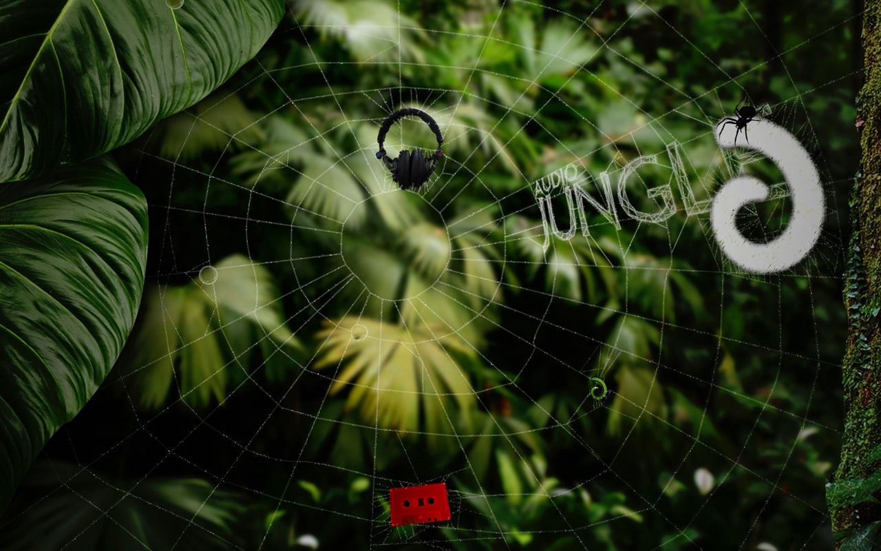 Аудио джунглей Обои Дизайн #17 - 1280x800