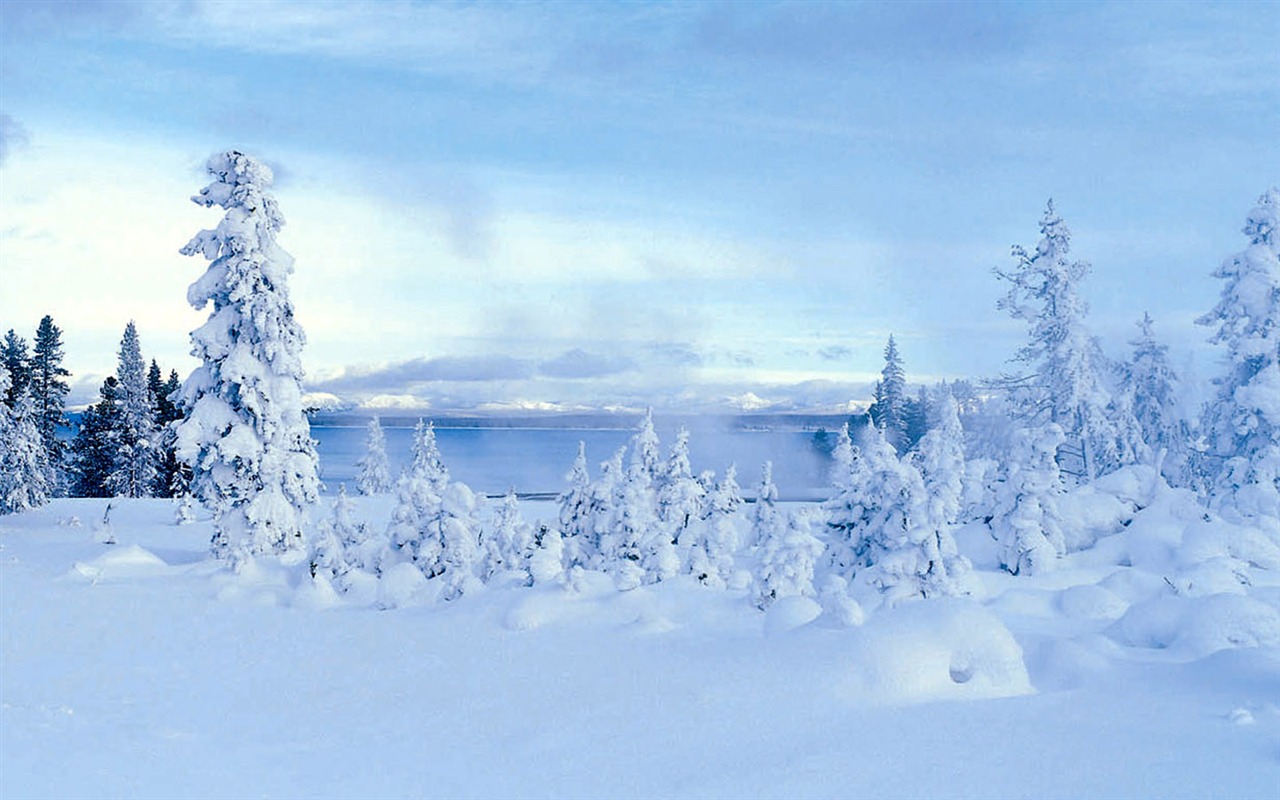 fondos de escritorio de alta definición de invierno la nieve fresca escena #33 - 1280x800