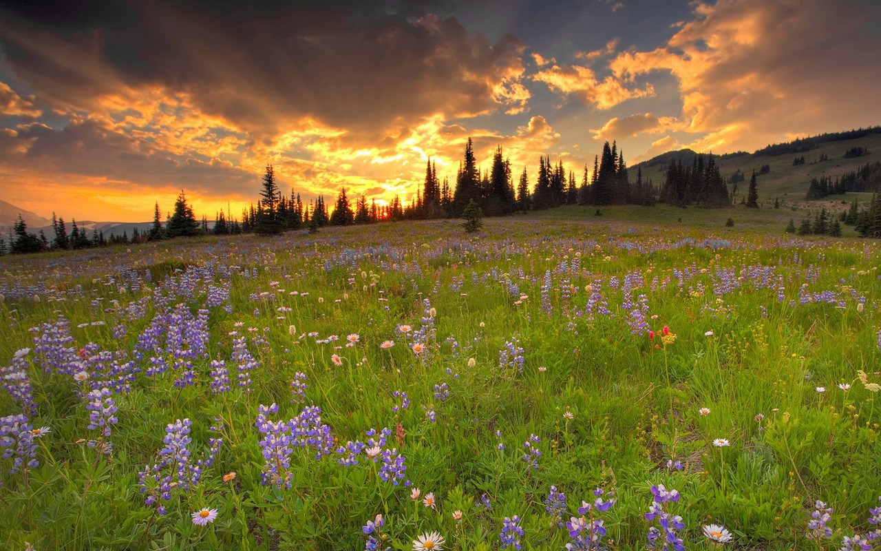 Des paysages magnifiques HD Wallpapers #30 - 1280x800