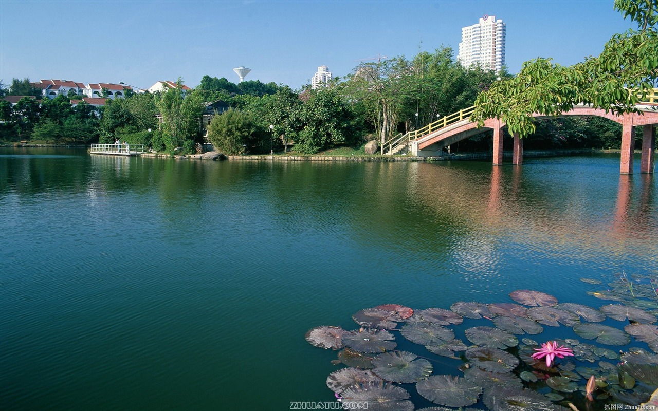 港湾风光宽屏壁纸9 - 1280x800