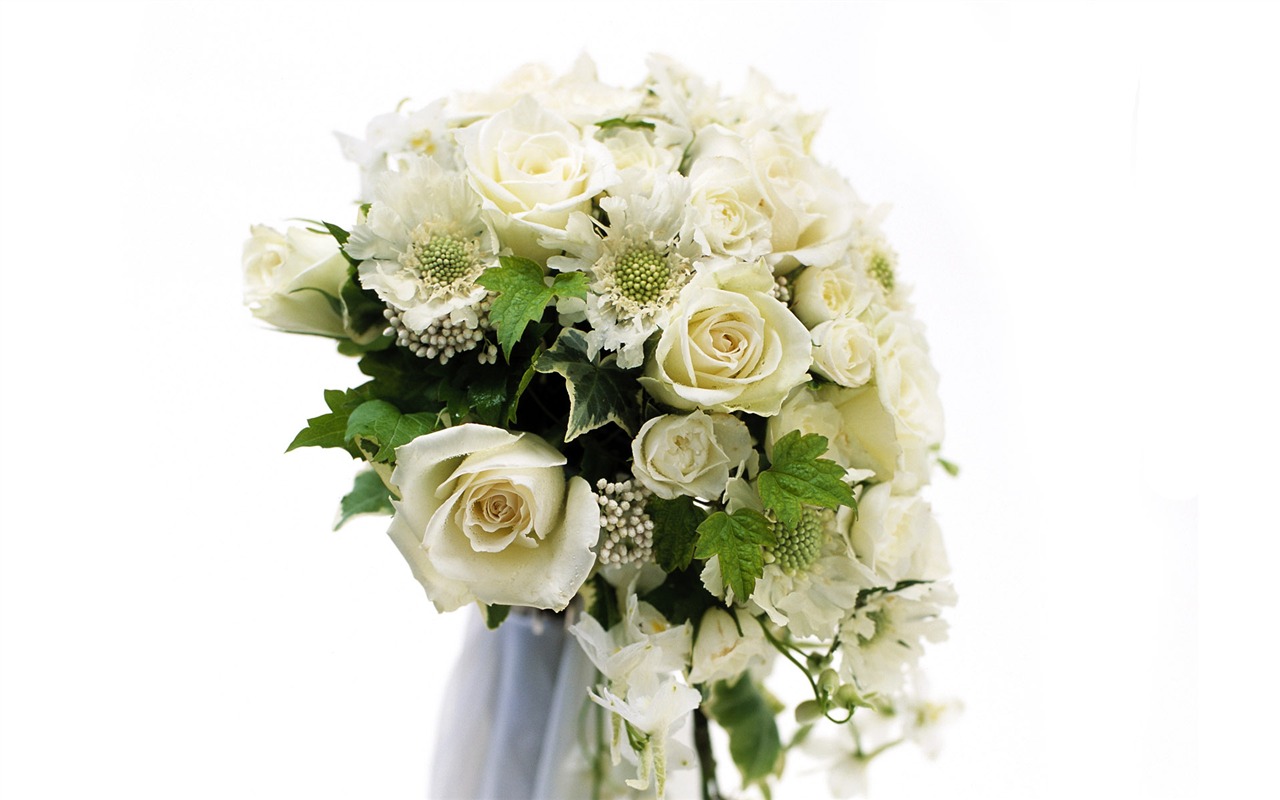 Свадебный цветок обручальное кольцо, обои (2) #10 - 1280x800