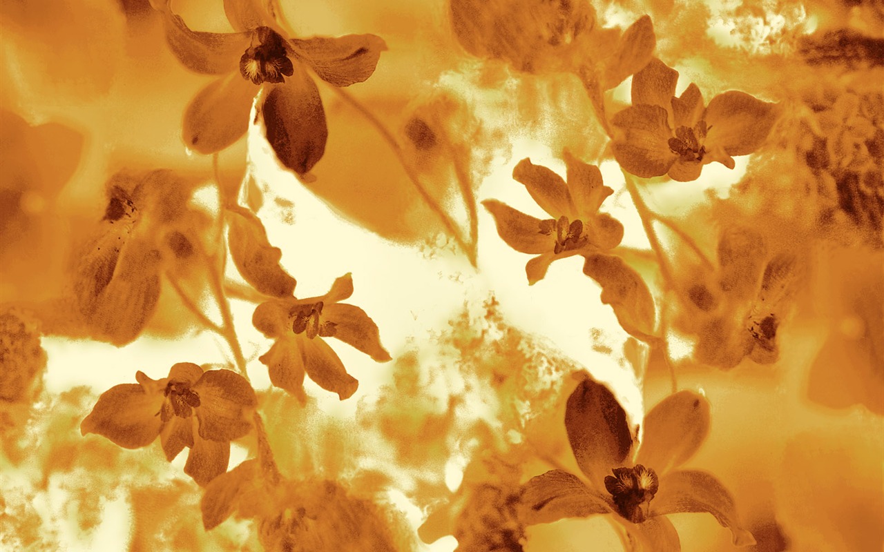Fondos de pantalla de tinta exquisita flor #15 - 1280x800
