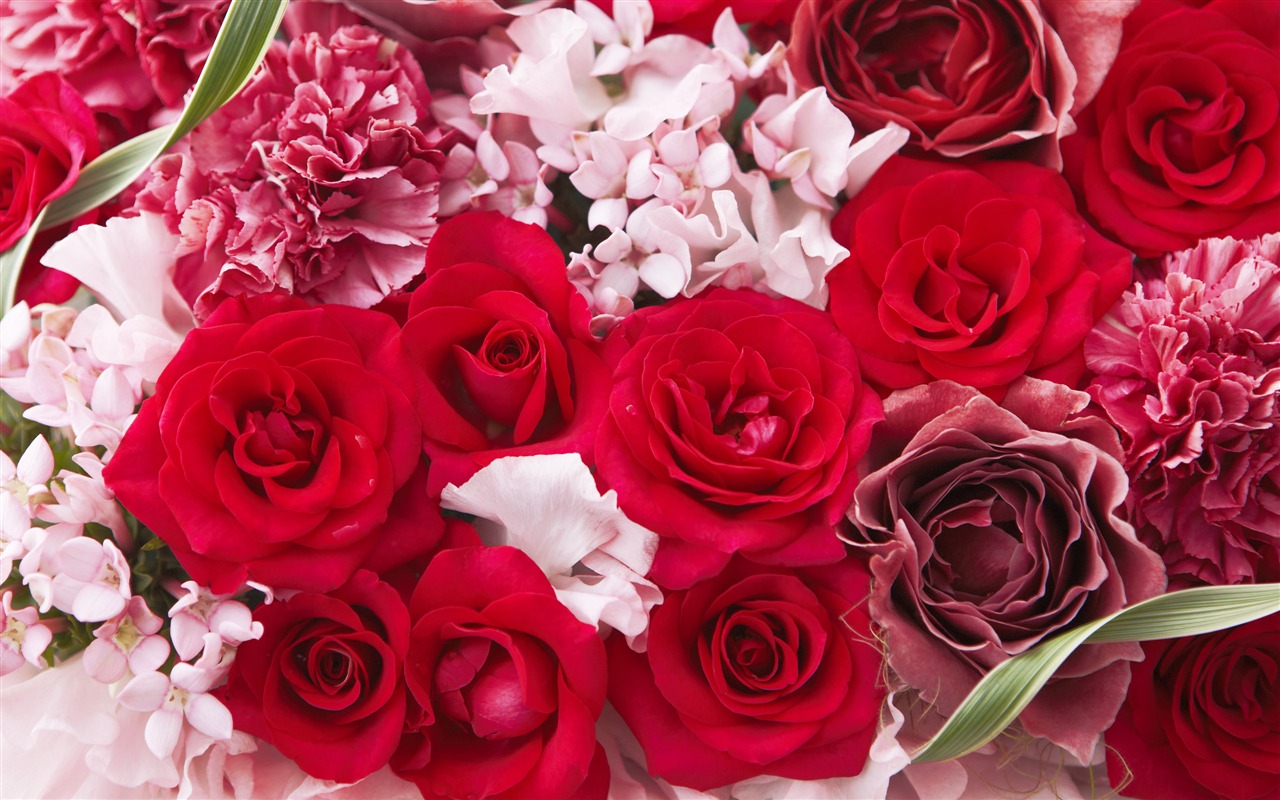 Flowers Gifts HD Wallpapers (1) #13 - 1280x800