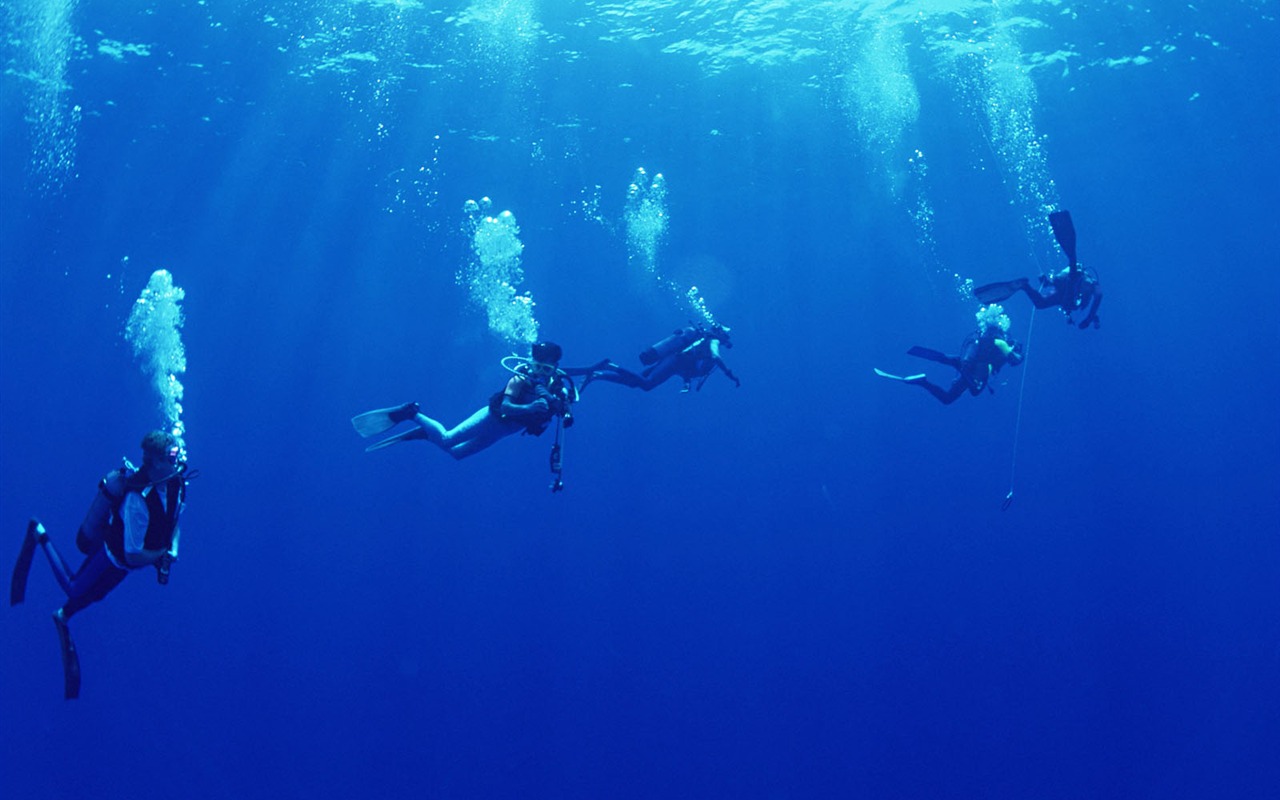 深蓝海底世界壁纸2 - 1280x800