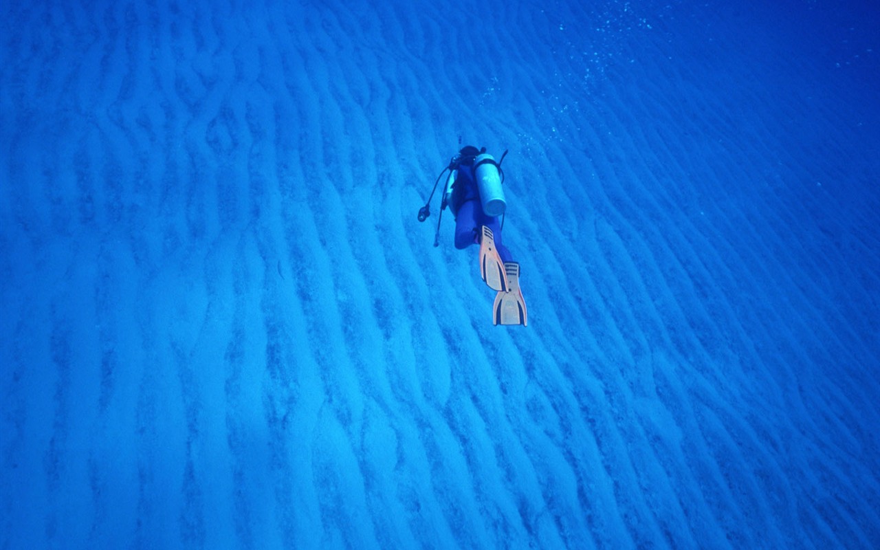 深蓝海底世界壁纸6 - 1280x800