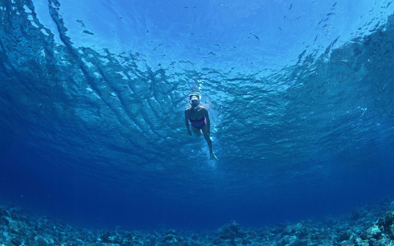 Deep Blue Underwater World Wallpaper #27 - 1280x800