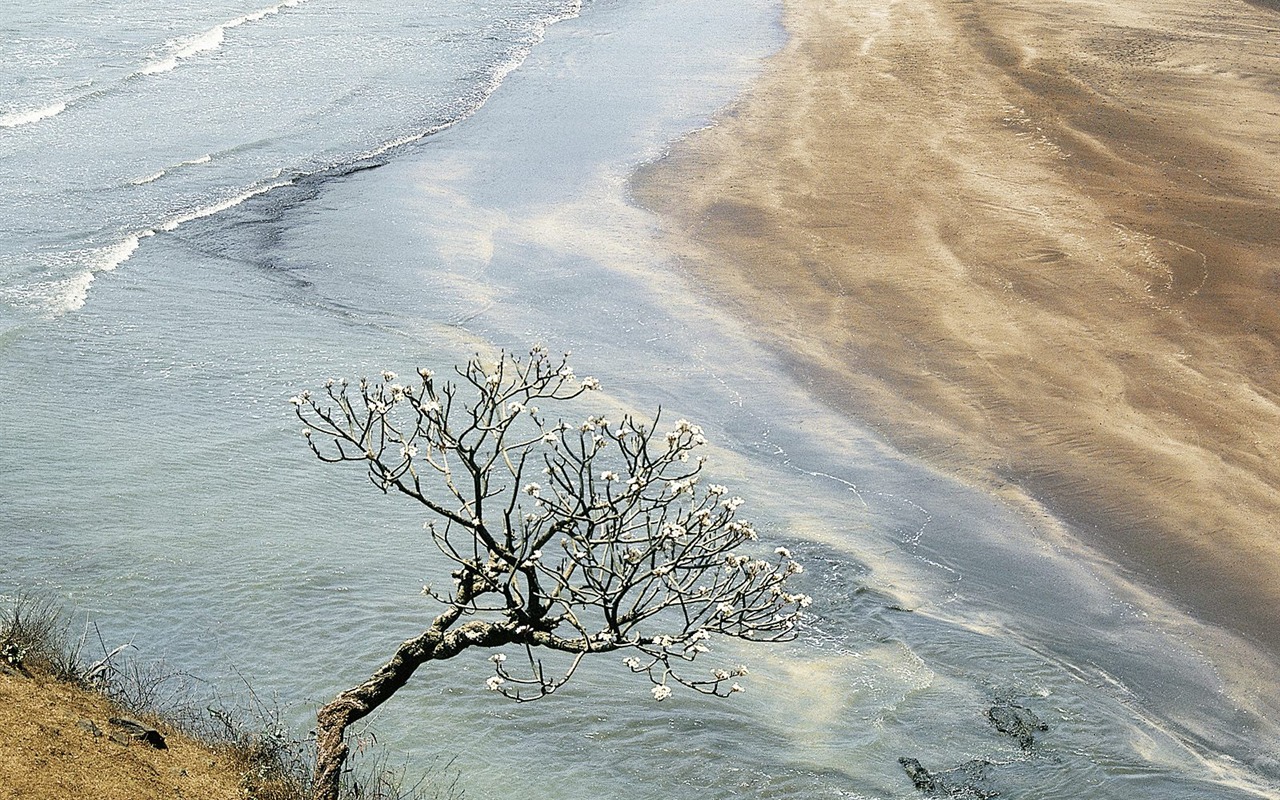 Webshots의 풍경 바탕 화면 (6) #20 - 1280x800