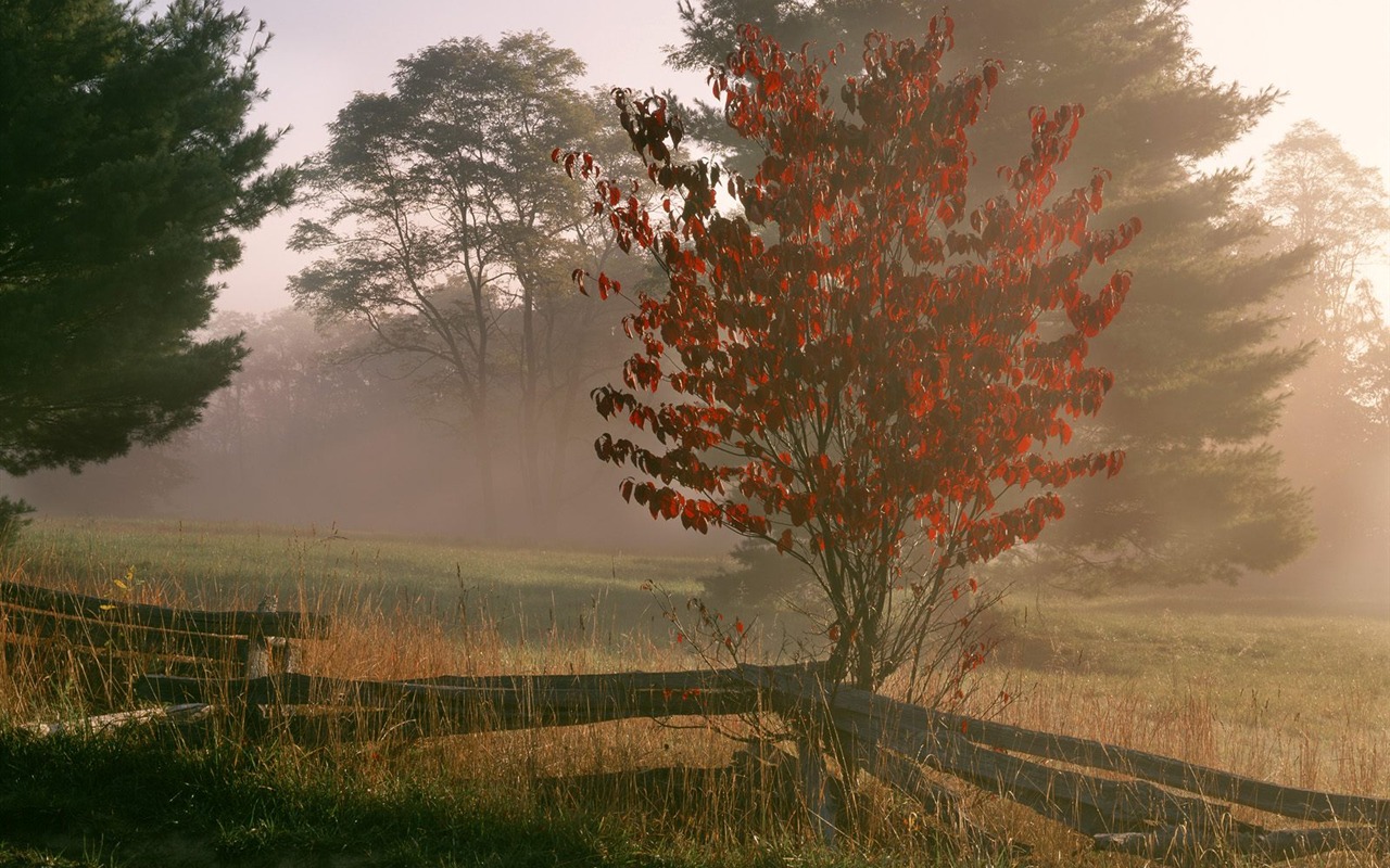 Webshots의 풍경 바탕 화면 (6) #24 - 1280x800