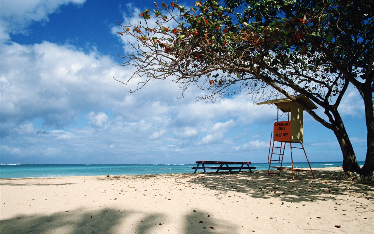 Beach Landschaft Tapeten Alben #39 - 1280x800