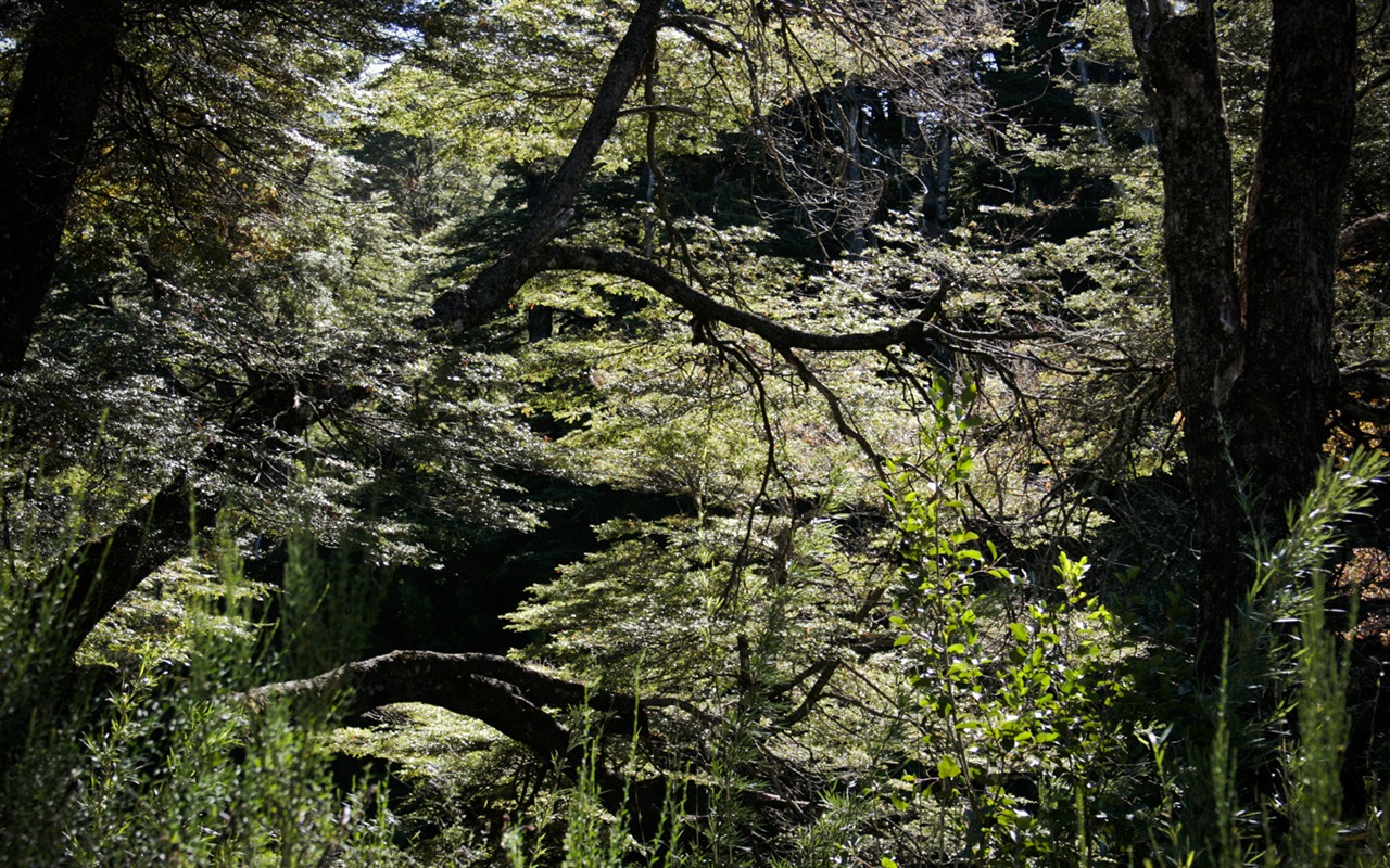 Patagonia přírodní scenérie Tapeta #8 - 1280x800