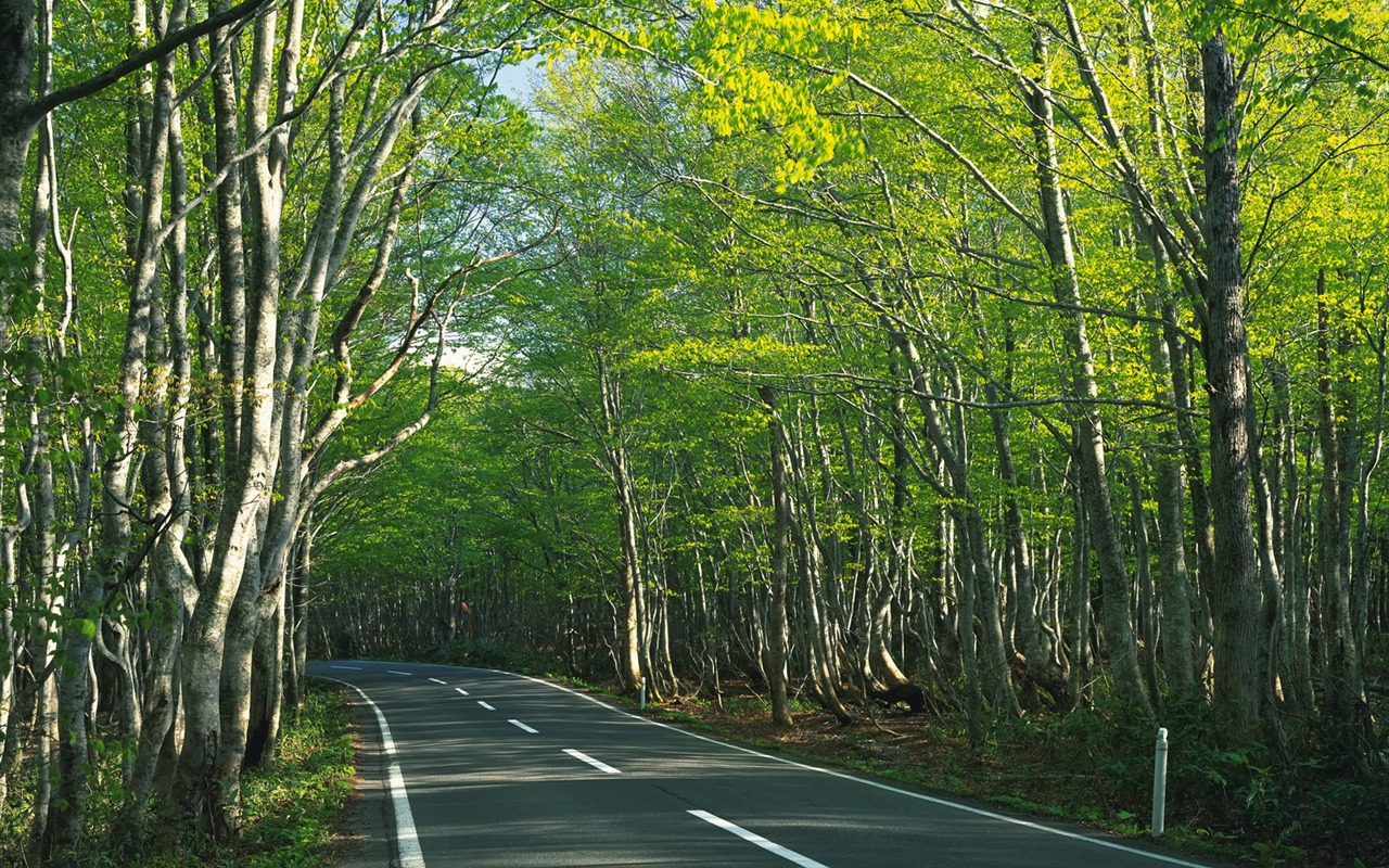 道路寫真壁紙 #20 - 1280x800