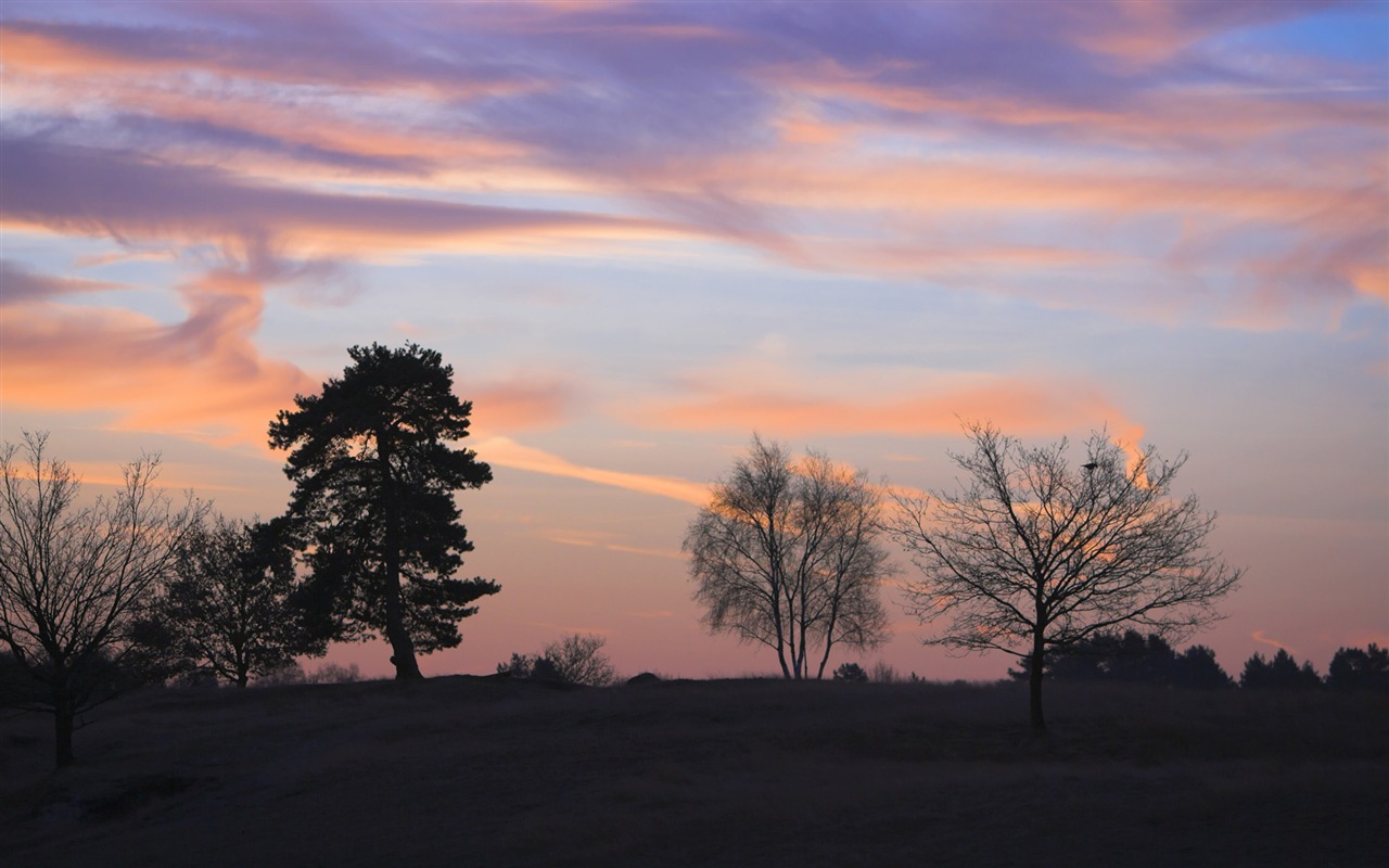 Glow du coucher du soleil HD Wallpaper exquise (1) #10 - 1280x800