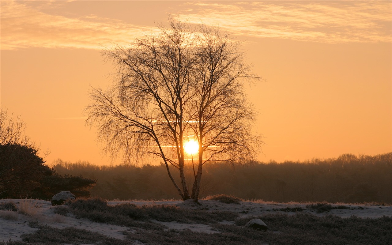 Glow du coucher du soleil HD Wallpaper exquise (1) #16 - 1280x800