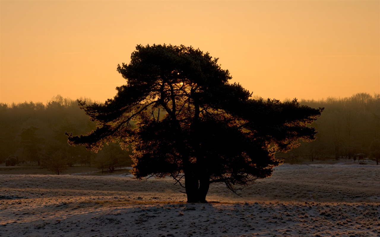 Glow du coucher du soleil HD Wallpaper exquise (1) #36 - 1280x800