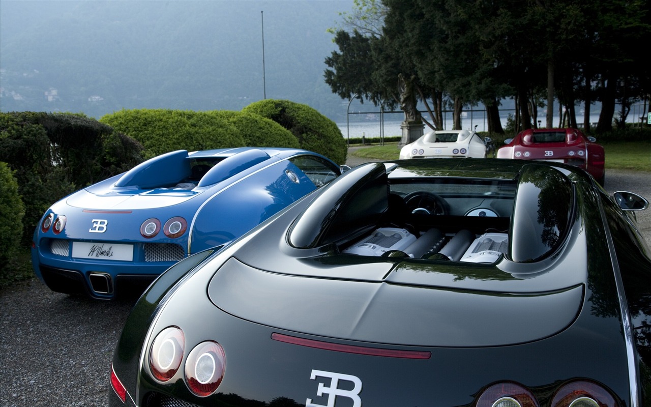 Bugatti Veyron Wallpaper Album (2) #15 - 1280x800