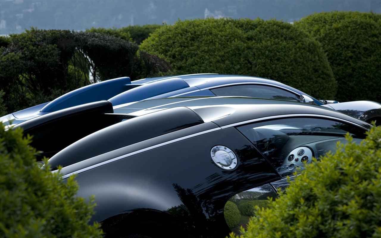 Bugatti Veyron Wallpaper Album (2) #16 - 1280x800