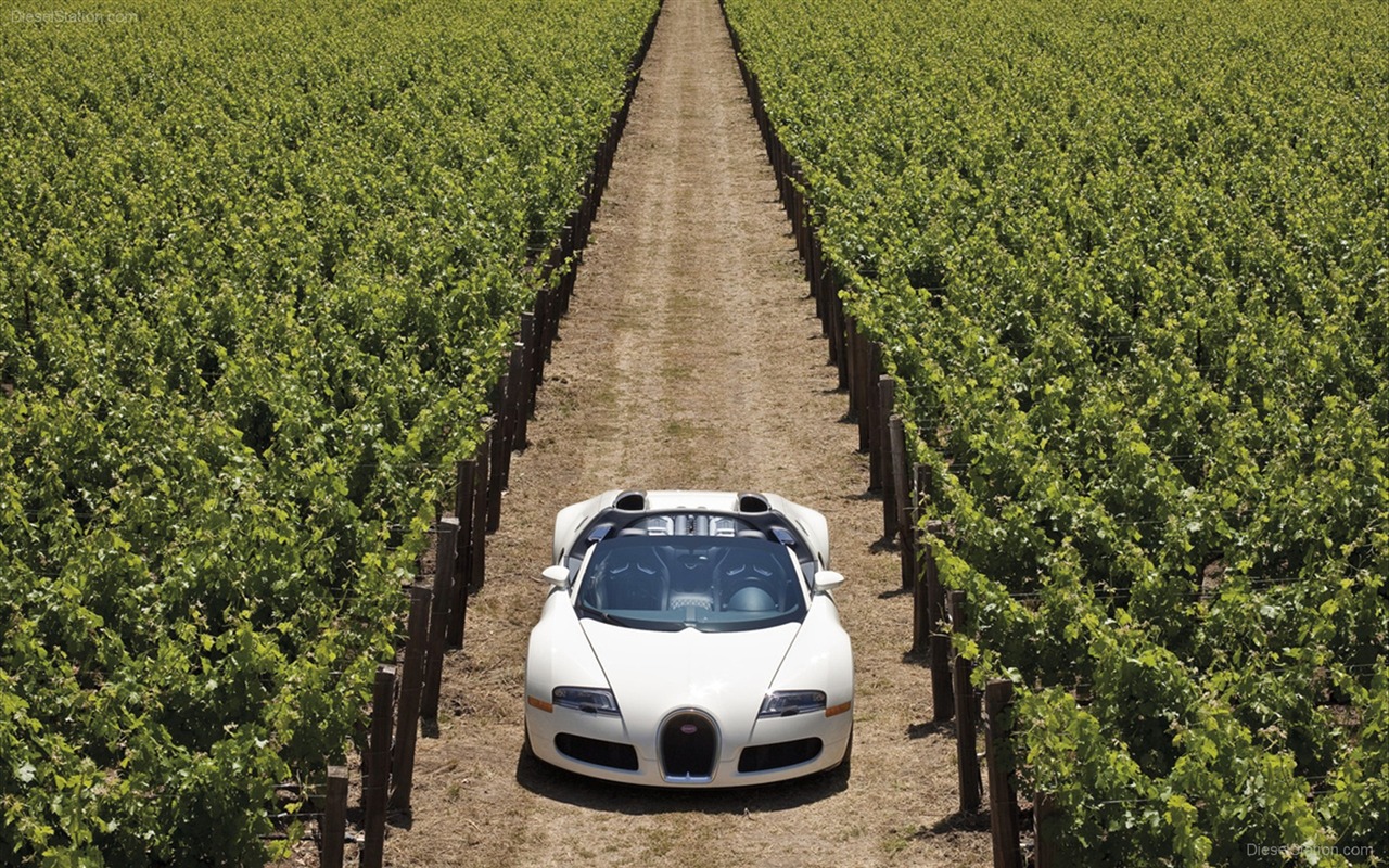 Bugatti Veyron обои Альбом (3) #3 - 1280x800